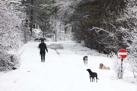 الثلوج تُعانق مدينة اسطنبول ومناطق اخرى في تركيا